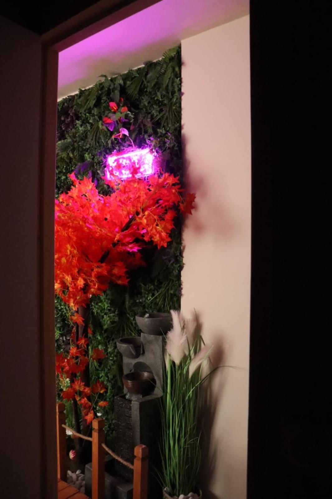 Loveroom Japon Avec Balneotherapie Tulon Zewnętrze zdjęcie