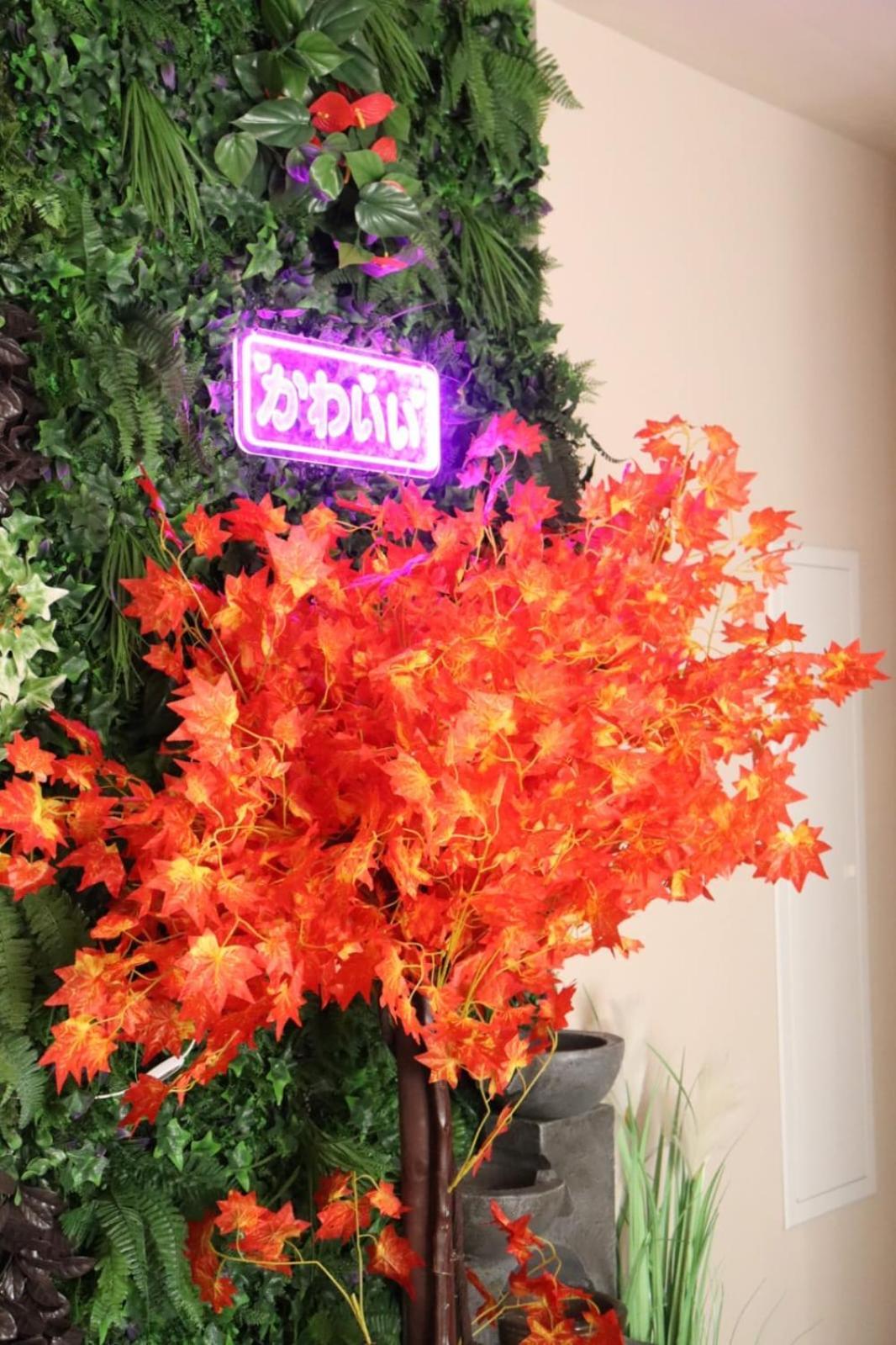 Loveroom Japon Avec Balneotherapie Tulon Zewnętrze zdjęcie
